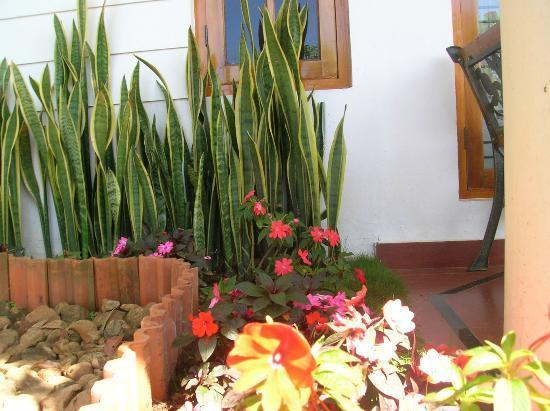 Munnar Dreams Hotel Luaran gambar